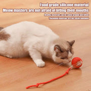 Electric Cat Ball Toys Automatic Rolling Ball Faux Tail Rechargeable Smart Pet Interactive Toy Dog Cat Training Imitate Mouses