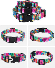 Dog Collar for Small Dogs Floral Pattern for Girl Boy Dogs Small