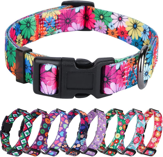 Dog Collar for Small Dogs Floral Pattern for Girl Boy Dogs Small